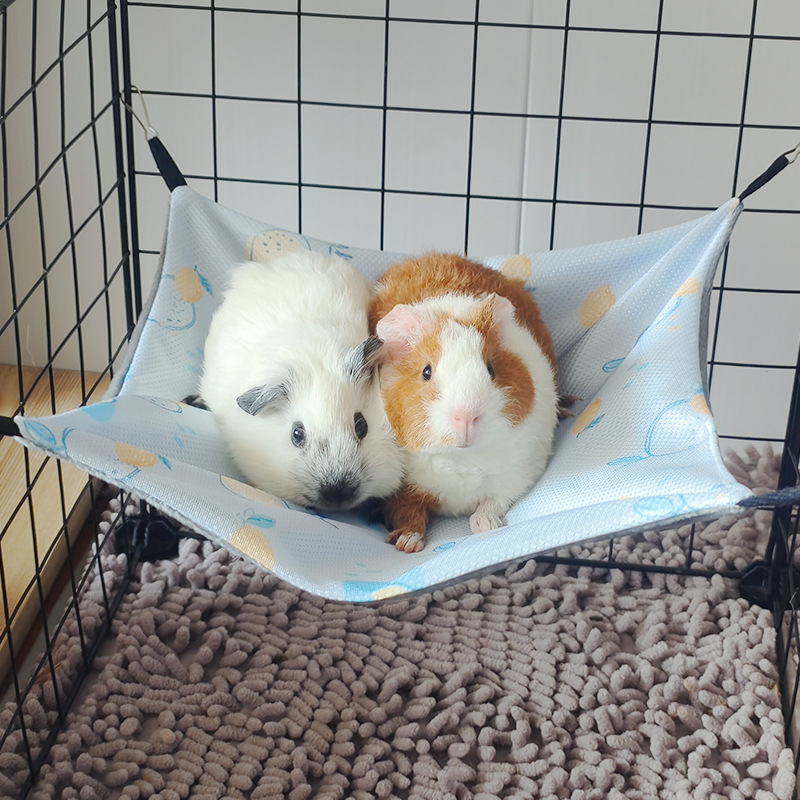Creative Double-sided Guinea Pig Hammock Breathable Skin-Friendly Hamster Hammock 4 Hooks Hanging Small Pet Supplies