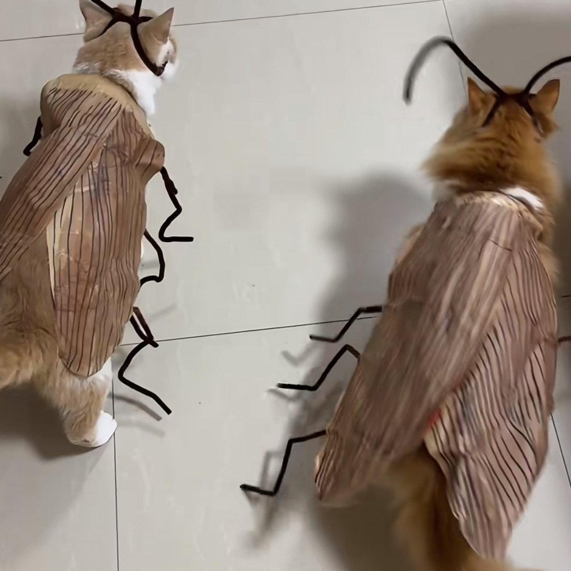 Interactive DIY Cat Cockroach Clothing Dress Up Material Pack Pet Supplies Cat Toys Indoor Playing Cosplay Accessory
