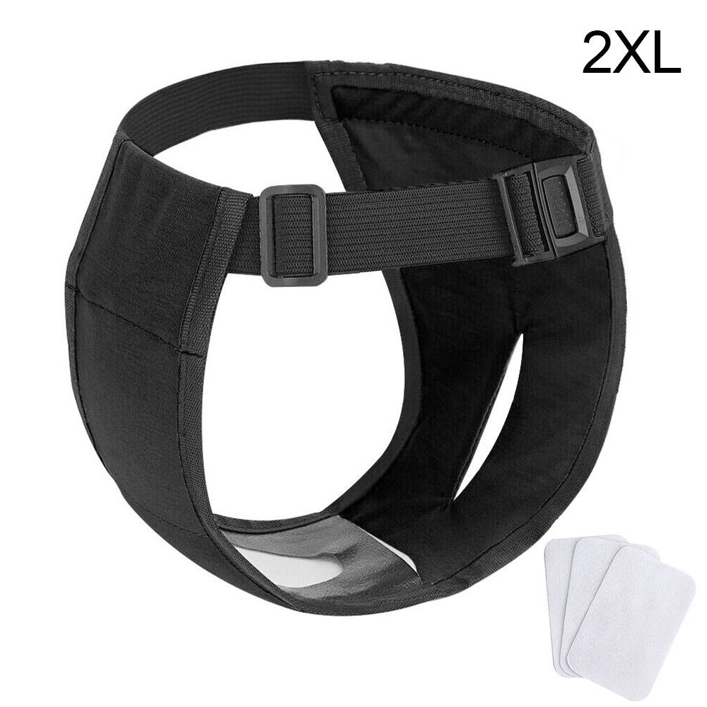 Female Pet Dog Sanitary Pants with 3 Diapers Dog Physiological Pants Menstrual Period Underwear Briefs